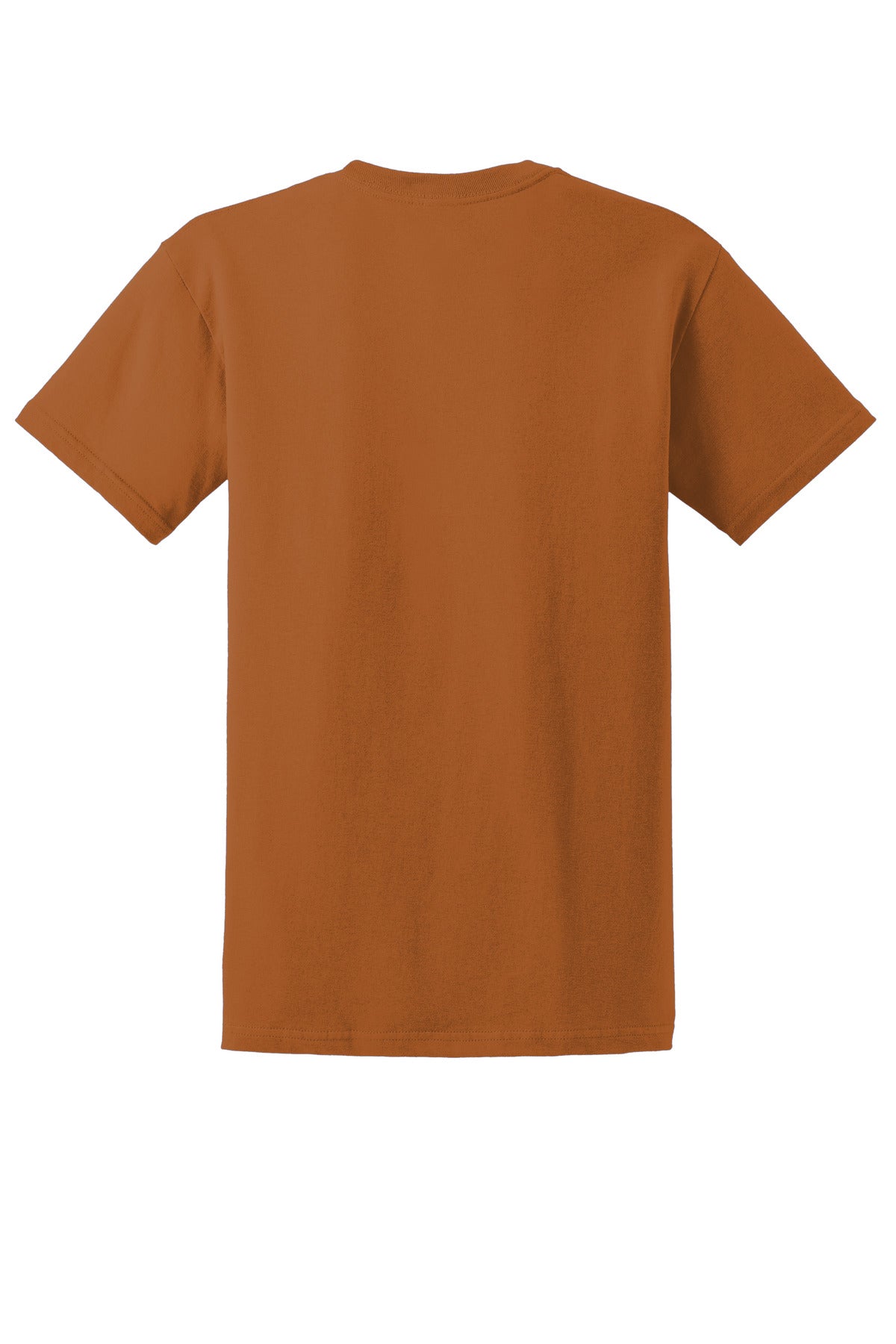 Gildan - Ultra Cotton 100% US Cotton T-Shirt.  2000