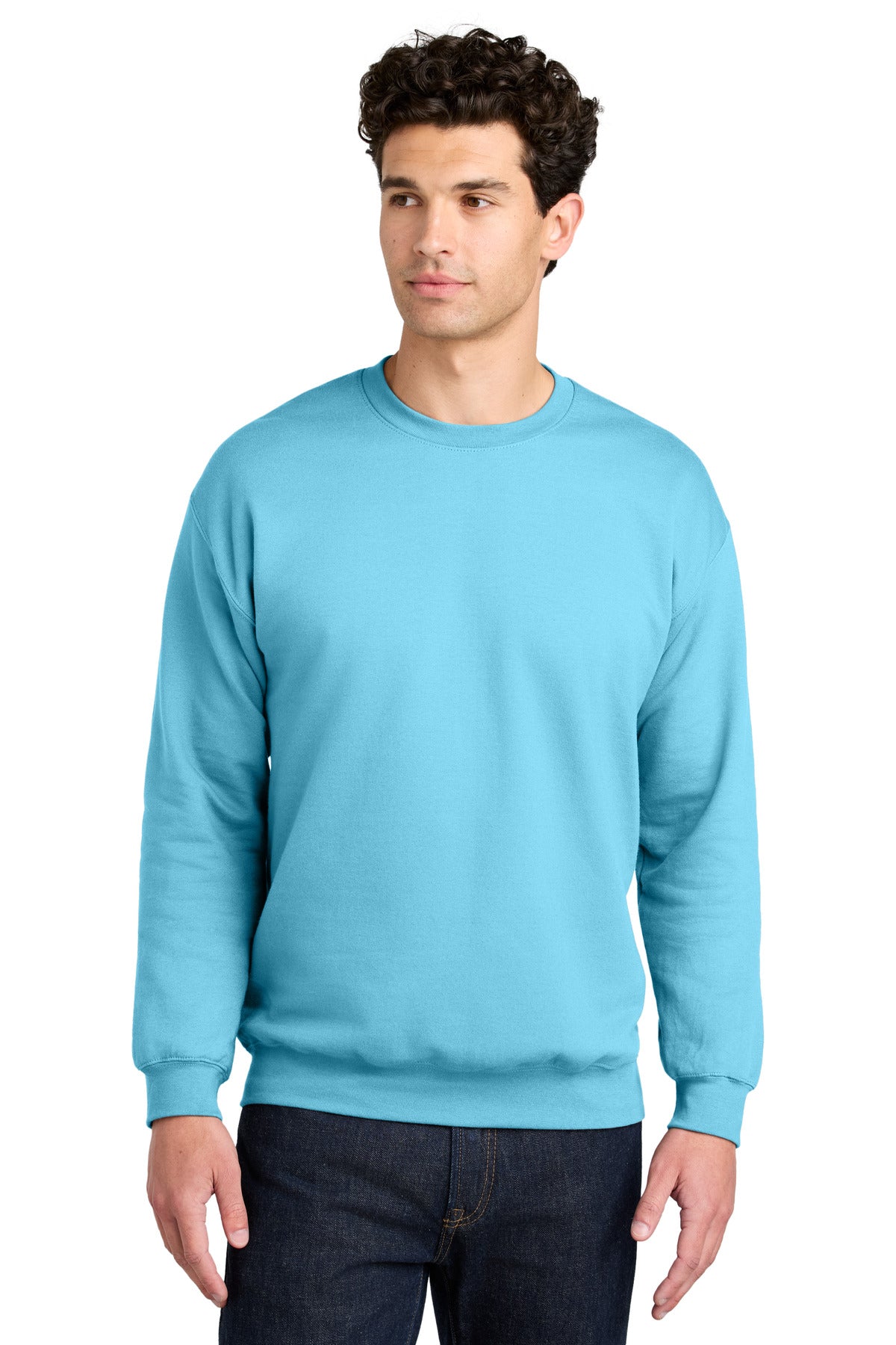 Gildan Softstyle Crewneck Sweatshirt SF000
